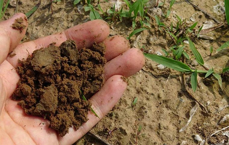 Well-managed soils are an effective way to reduce the emission of greenhouse gases 