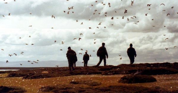 Falklands, first war mapping project at Mount Tumbledown is completed - Vimarsana News