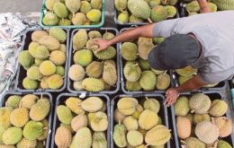 Exporting fruits to China no longer how it used to be