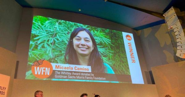 Whitley Fund's Green Oscar goes to Argentine Chaco conservationist - Vimarsana News