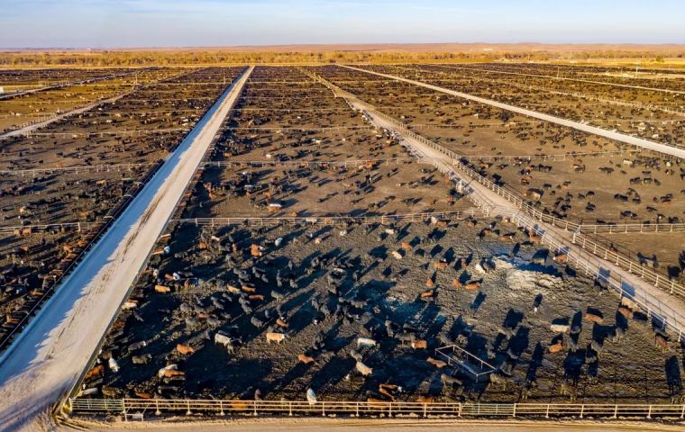 High-resolution satellites were used to study methane emissions from the Bear 5 cow feedlot near Bakersfield, California