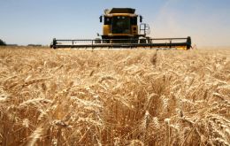 Argentina is among the world’s top wheat exporters and is estimated to have exported a record 14.5 million tons in 2021-22.