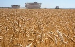 India's export ban has only come to increase an already difficult situation created by the Russian invasion of Ukraine, two of the world's leading exporters of wheat