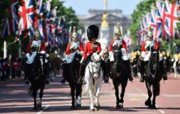 The Drum Horses of the Household Cavalry, take a central role in the ceremony of “The Trooping”