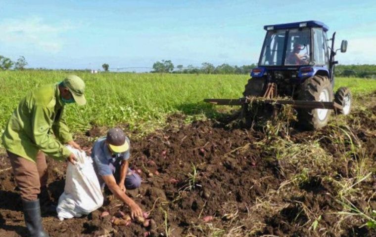 National entrepreneurs will be able to develop their business in Cuban territory, the Office of the Argentine Cabinet Chief explained