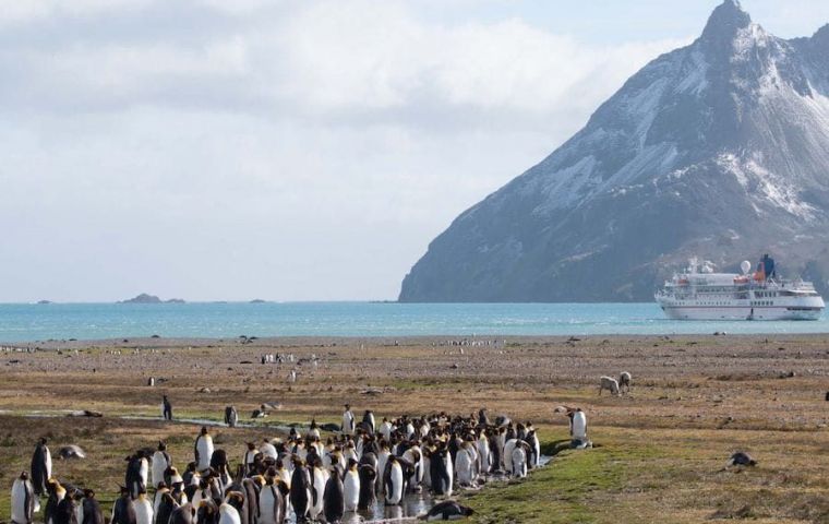 The Strategy builds on the 2016-2020 document and will guide the delivery of an effective program of control of high priority non-native plant species at key sites 