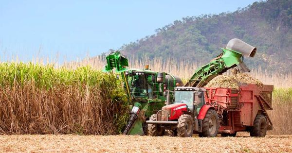 Brazil launches US$ 65bn 'handouts' for the 2022/23 farming year - Vimarsana News