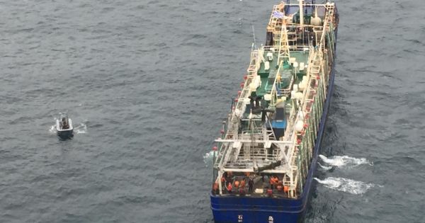 11 tons of squid found on Chinese vessel fishing illegally in Uruguayan waters - Vimarsana News
