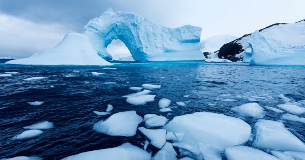 BAS report, the Antarctic glaciers ice loss is "unprecedented" — MercoPress - Vimarsana News
