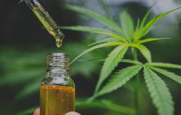 “The subject of CBD and CBD oil was widely discussed in the lead up to the election,” explained MLA Roger Spink