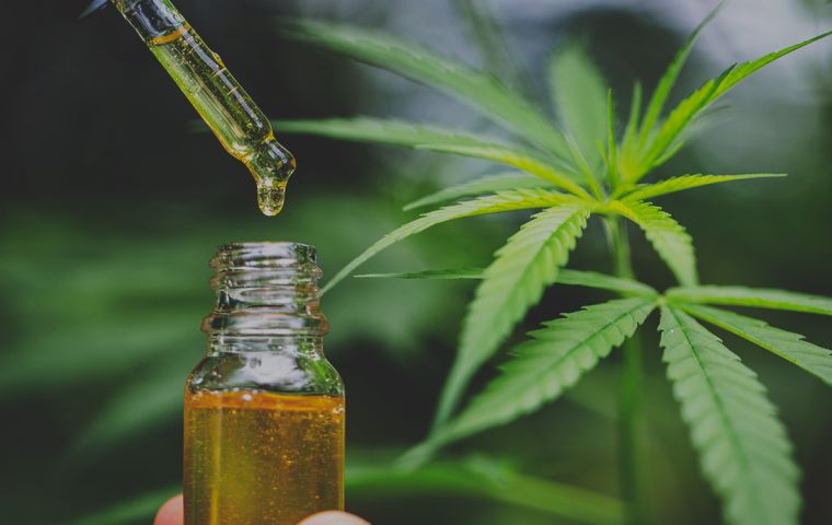 “The subject of CBD and CBD oil was widely discussed in the lead up to the election,” explained MLA Roger Spink