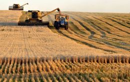 The Argentine 2021/22 corn harvest reached 53 million tons, with exports totaling 28,5 million tons