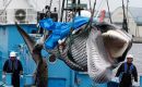 Japanese whalers drew international criticism for exploiting a loophole in the IWC's regulations that permitted “scientific whaling” 