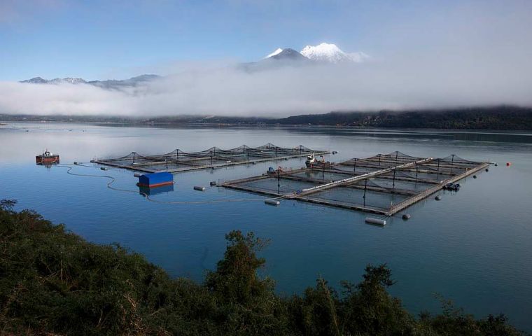 The president Boric administration has anticipated a moving out of the salmon industry from Magallanes Region 