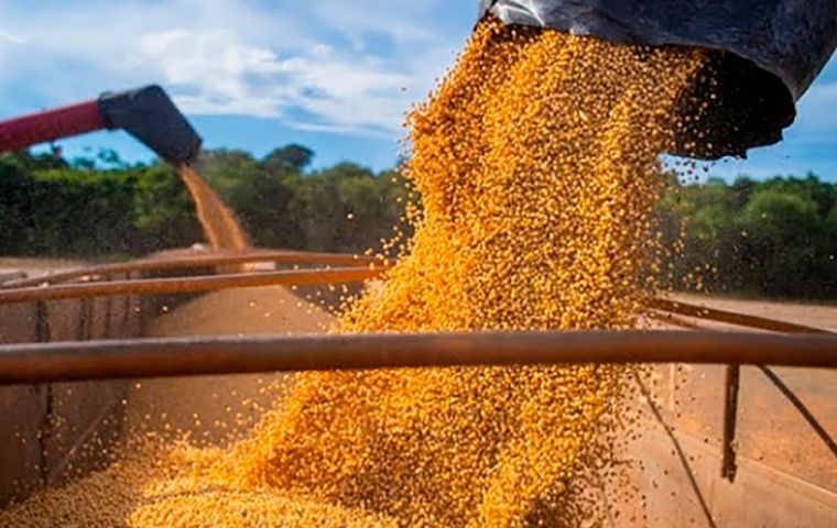 In 2021, Brazil exported US$41 billion to China (34% of agriculture sales), making Brazil, China’s largest supplier of agriculture produce, 20% of Beijing's imports.