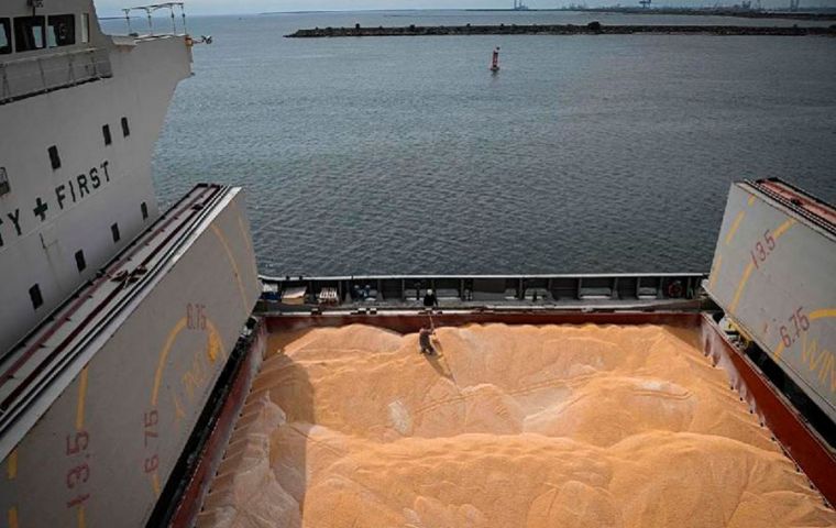 Ukraine’s grain exports are down 51.6% year on year at 2.99 million tons in the 2022/23 season, (August 20 data), the agriculture ministry reported.