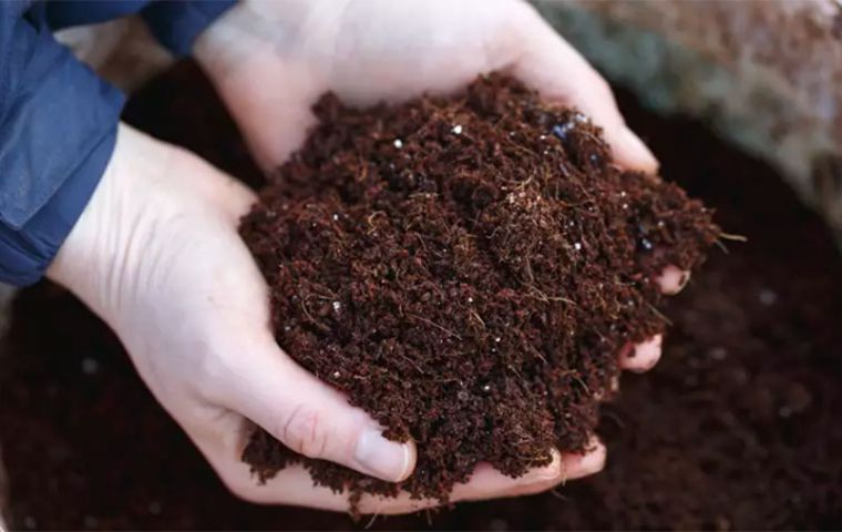 Peat is a layer of carbon-rich soil that forms very slowly in wet, boggy ground. They are sometimes referred to as the UK's rainforests