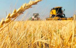 This year Brazil is going to have an estimated demand of 13 million tons of wheat, but the country will only harvest 9 million tons