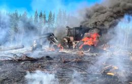 It is estimated that these attacks during 2021 cost the forestry industry in the so called macro-zone (southern Chile) some US$ 100 million