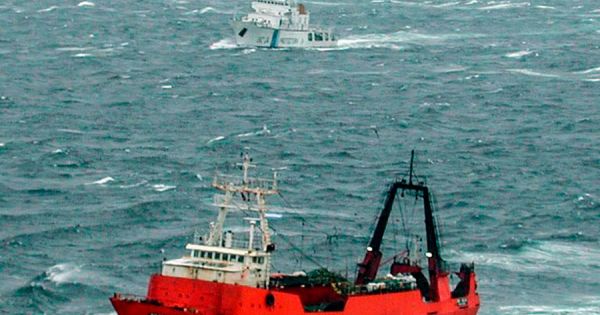 Hake fishing halted for conservation purposes - Vimarsana News
