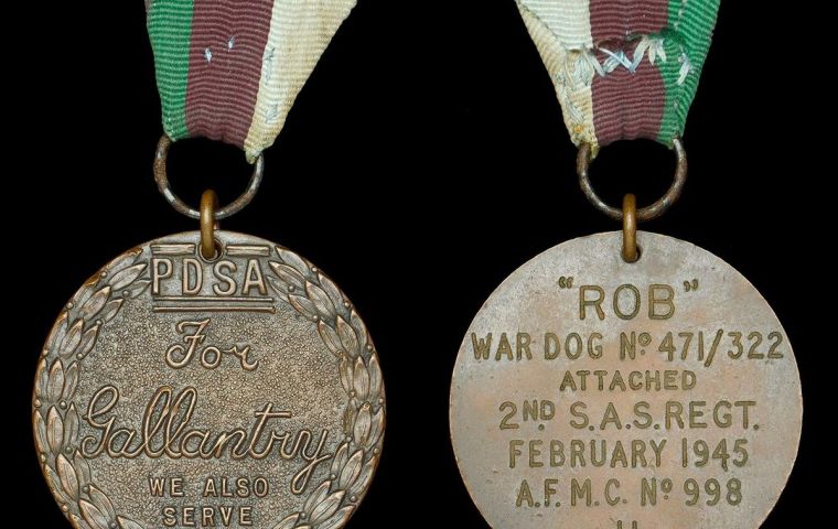 Rob was volunteered as a war dog by his family in 1942 and was the first dog to serve with the Special Air Service Regiment