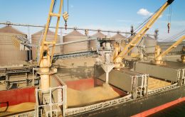 Ukraine has exported some 6.8 million tons of grain and other foodstuffs, about a third of its storage, since a sea corridor from the war-torn country opened in July.