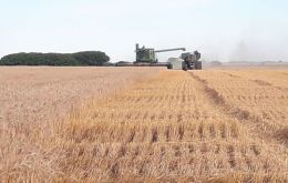 Argentina, has seen its 2022/23 wheat harvest forecast slashed by the Rosario grains exchange to 16.5 million tons, which would be the lowest in seven years