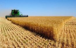 Normally Brazil purchases up to six million tons of wheat from Argentina, but the Mercosur partner has insufficient supplies to export