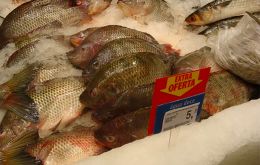 Frozen tilapia fillets remain the most exported product from Brazilian fisheries, and this year the domestic market saw an increase in demand.