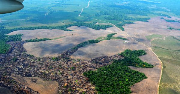 Alemania, Noruega y Reino Unido respaldan plan para frenar la deforestación en la Amazonía colombiana – Merco Press