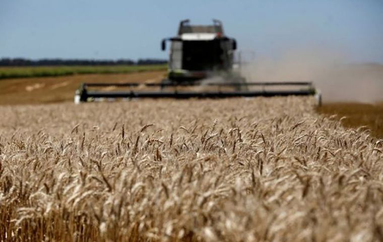 “The current scenario that Argentine wheat is going through is one of enormous uncertainty, and there may continue to be further cuts,” the Rosario exchange warned