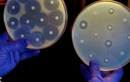 An estimated 1,3 million people around the world die each year directly due to bacterial antimicrobial resistance, AMR.