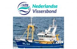 According to the Dutch Fishermen's Union, “a large cutter that fishes for flatfish can use 10,000 Euros worth of fuel per week,” a spokesperson said