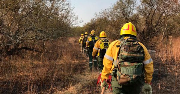 Argentine National Fire Management Program gets funding - Vimarsana News