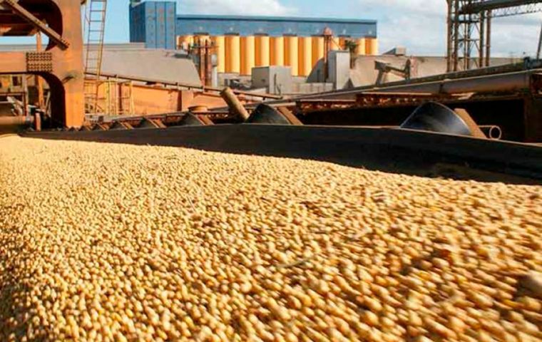 China Absorbed 33% of all Brazilian agriculture exports, some US$ 45billion