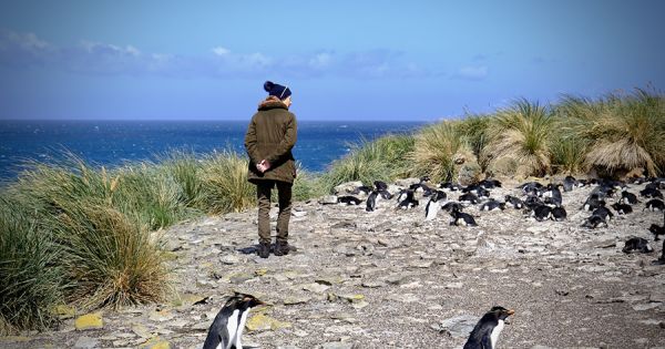 Princess Anne praises achievements of Falklands Forty anniversary and belonging to the BOTs Family - Vimarsana News