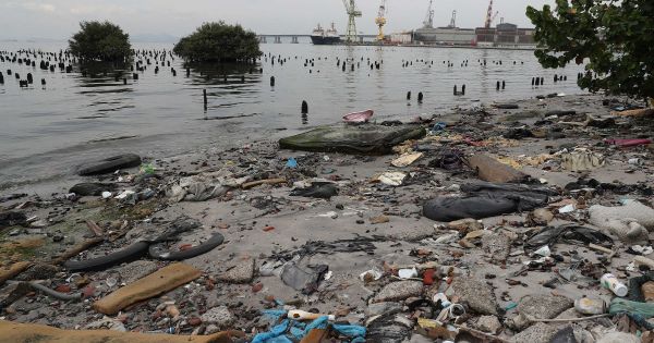 Environmental crisis resurfaces after accident in Guanabara Bay - Vimarsana News