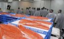 Salmon and trout sales to Brazil generated US$ 673 million between January and October, up 12.4% from the same period last year.