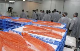 Salmon and trout sales to Brazil generated US$ 673 million between January and October, up 12.4% from the same period last year.