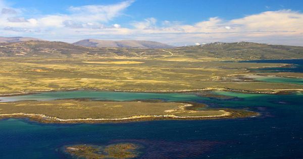 Falklands part of the global climate crisis, both in consequences and attempts to find solutions - Vimarsana News