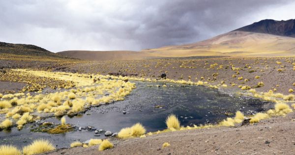 Dispute between Chile and Bolivia over Silala settled by ICJ ruling - Vimarsana News