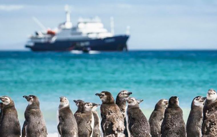 Falkland Islands Detailed Consultation Report On Marine Managed Areas 