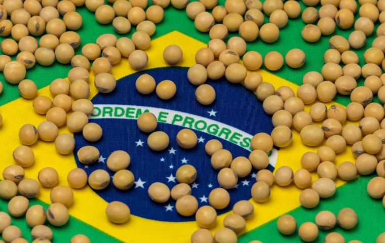 The average estimates by several consultants has Brazil, world’s top soy supplier producing a record 152 million tons of soybeans, up 20% year on year.