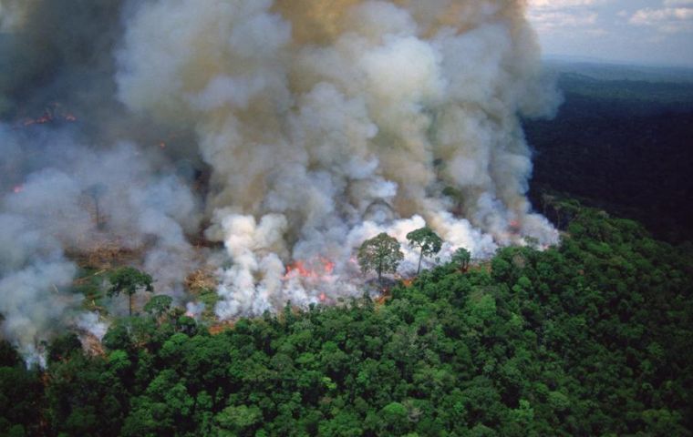 Anderson also foresaw a significant increase in the outbreaks of fire in the region due to the increase in deforestation and land grabbing.