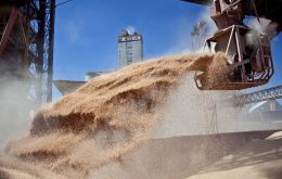 Brazilian agribusiness exports, which totaled US$101 billion in 2020, increased to US$121 billion last year and are expected to be close to US$160 billion this year.