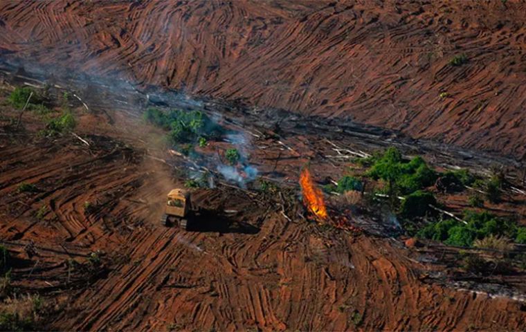 “Bolsonaro's government is over, but his disastrous environmental legacy will still be felt for a long time,” Astrini said