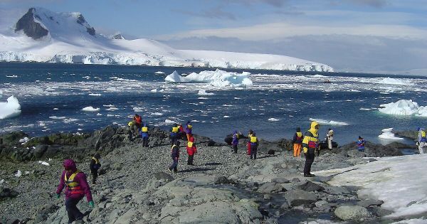 Is Mass Cruise Tourism Safe for Antarctic Ecosystems? - Vimarsana News