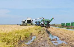 Brazilian exports of rice in 2022 totaled  2.11 million tons, 85% higher than in 2021, according to the Brazilian Association of the Rice Industry (Abiarroz)