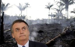 Deforestation took a turn for the worse under former President Jair Bolsonaro