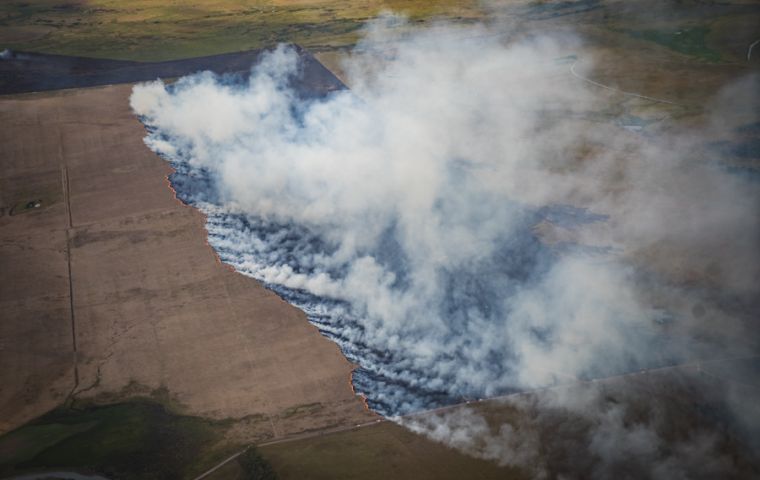 So far in 2023, Uruguay's National Fire Department reported a considerable increase in the number of forest fires. Photo: Sebastián Astorga / MercoPress